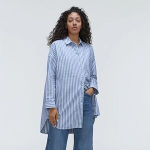 Everlane Blue Striped Tunic Top